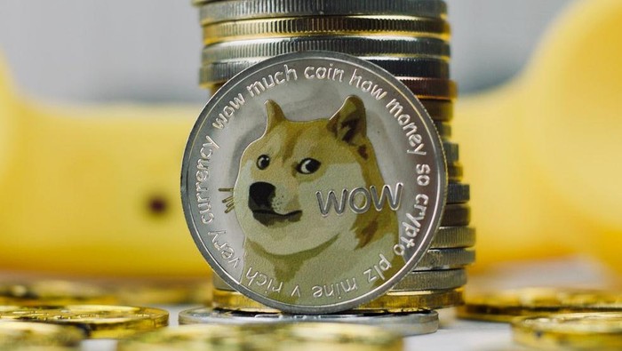 know dogecoin