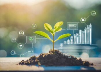 A young plant growing from soil on a wooden surface, symbolizing growth and sustainability. Surrounding the plant are various digital icons and graphics representing environmental and business data, such as charts, graphs, and symbols related to sustainability. The background is blurred, featuring a natural outdoor setting with soft sunlight.