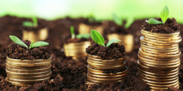 Trading Psychology, Coin to be tree, Short-Term, Invesment Strategies, social trading and copy trading.